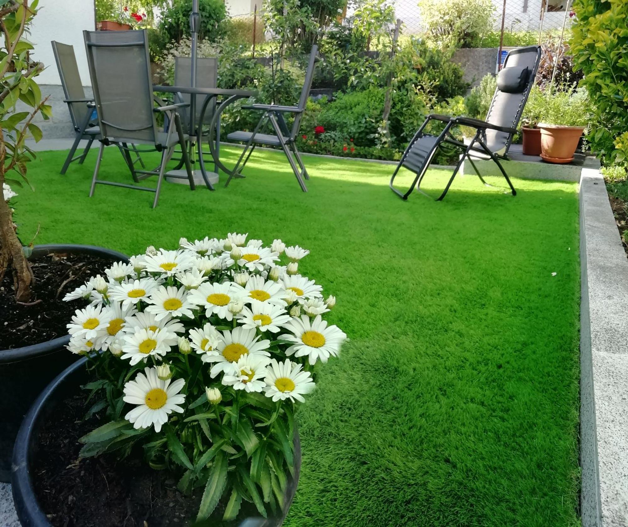 Appartamento Con Giardino 加里索洛 外观 照片